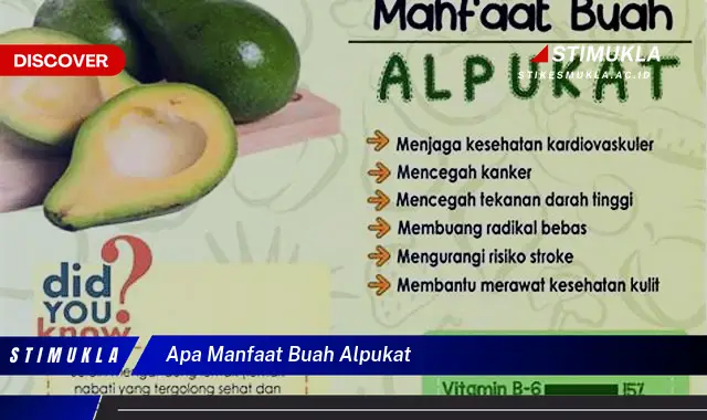 apa manfaat buah alpukat apa manfaat buah alpukat