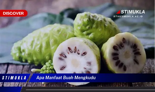 apa manfaat buah mengkudu