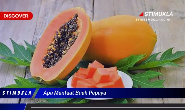 apa manfaat buah pepaya apa manfaat buah pepaya