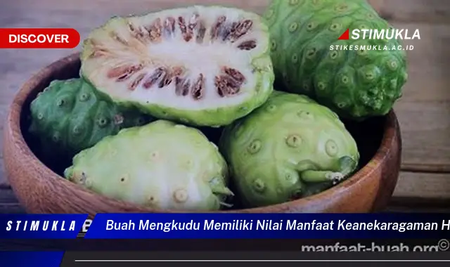 buah mengkudu memiliki nilai manfaat keanekaragaman hayati berupa sumber buah mengkudu memiliki nilai manfaat keanekaragaman hayati berupa sumber