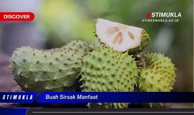 buah sirsak manfaat buah sirsak manfaat