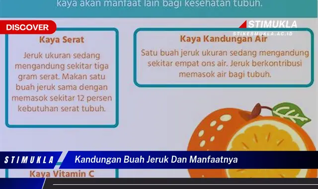 kandungan buah jeruk dan manfaatnya kandungan buah jeruk dan manfaatnya