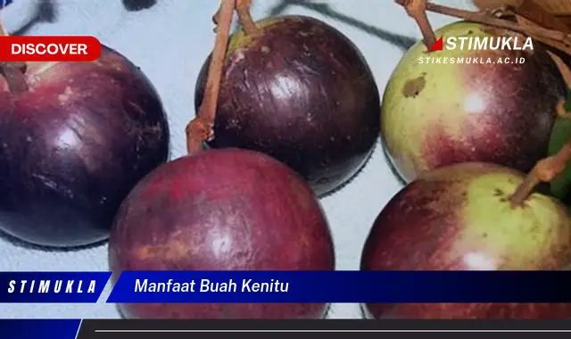 manfaat buah kenitu manfaat buah kenitu