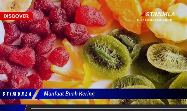 manfaat buah kering