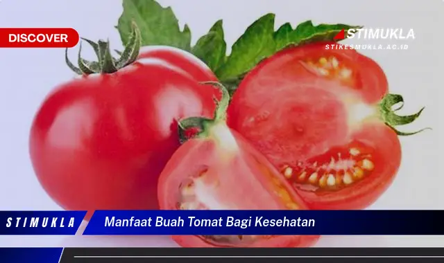 manfaat buah tomat bagi kesehatan manfaat buah tomat bagi kesehatan