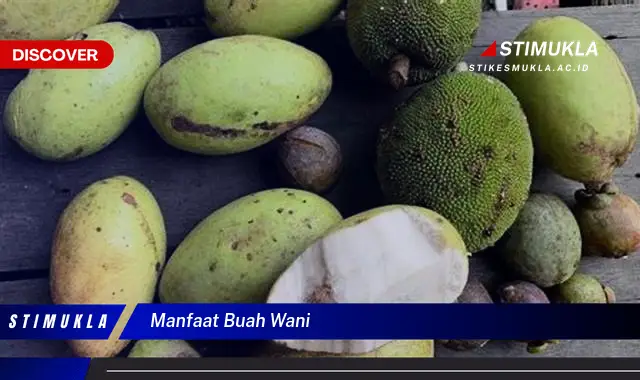 manfaat buah wani manfaat buah wani
