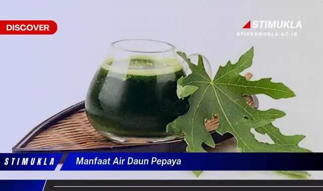 manfaat air daun pepaya manfaat air daun pepaya