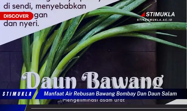 manfaat air rebusan bawang bombay dan daun salam manfaat air rebusan bawang bombay dan daun salam
