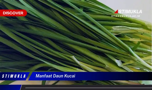 manfaat daun kucai manfaat daun kucai