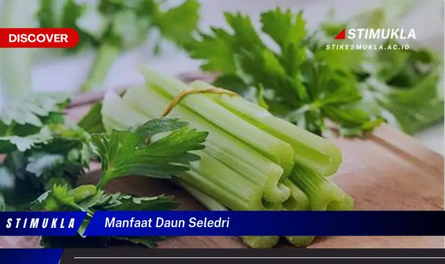 Temukan 8 Manfaat Daun Seledri yang Bikin Kamu Penasaran