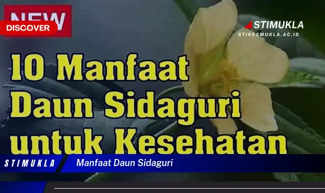 Temukan 8 Manfaat Daun Sidaguri yang Bikin Kamu Penasaran