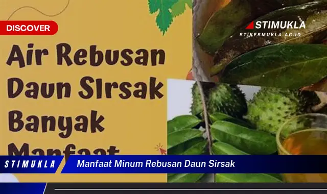 manfaat minum rebusan daun sirsak